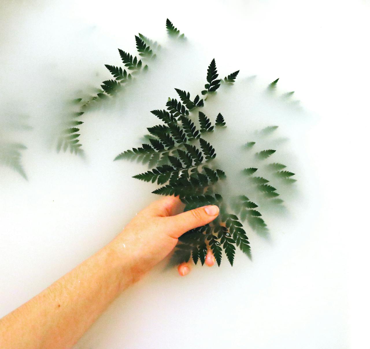 A hand gently holds fern leaves submerged in misty water, creating a serene natural scene.